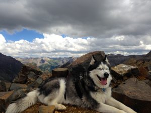 best friend, adventure companion and experiential life guide